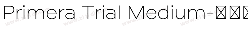 Primera Trial Medium字体转换